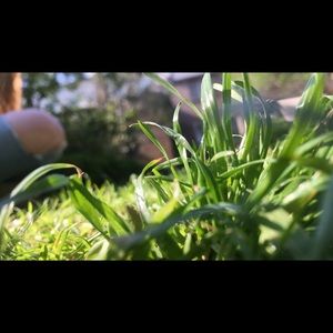 Meet your Posher, Tessa